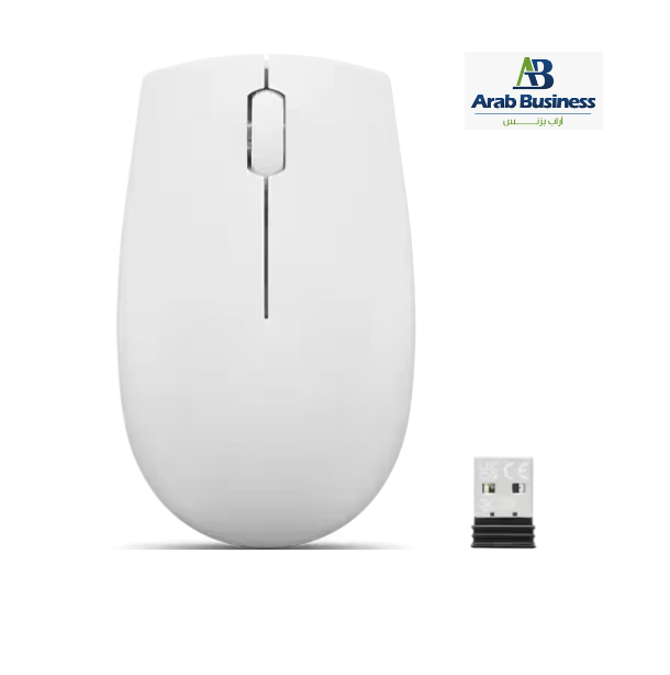 LENOVO 300 WIRELESS COMPACT MOUSE -CLOUD GREY