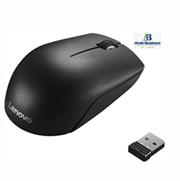 LENOVO 300 WIRELESS COMPACT MOUSE