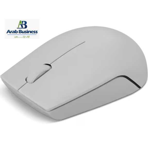 Lenovo 300 Wireless Compact Mouse (Arctic Grey) with battery