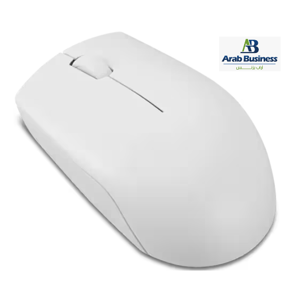 LENOVO 300 WIRELESS COMPACT MOUSE -CLOUD GREY