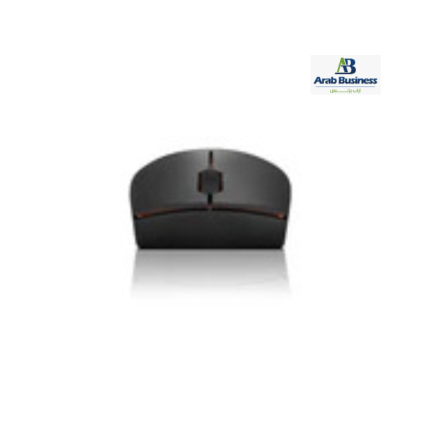 LENOVO 300 WIRELESS COMPACT MOUSE